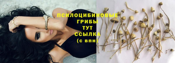 каннабис Волоколамск